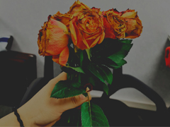 Tenveo wish our stuff a happy Chinese valentine's Day