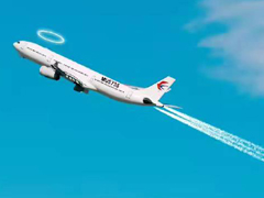 MU5735 Flight-Rest in peace